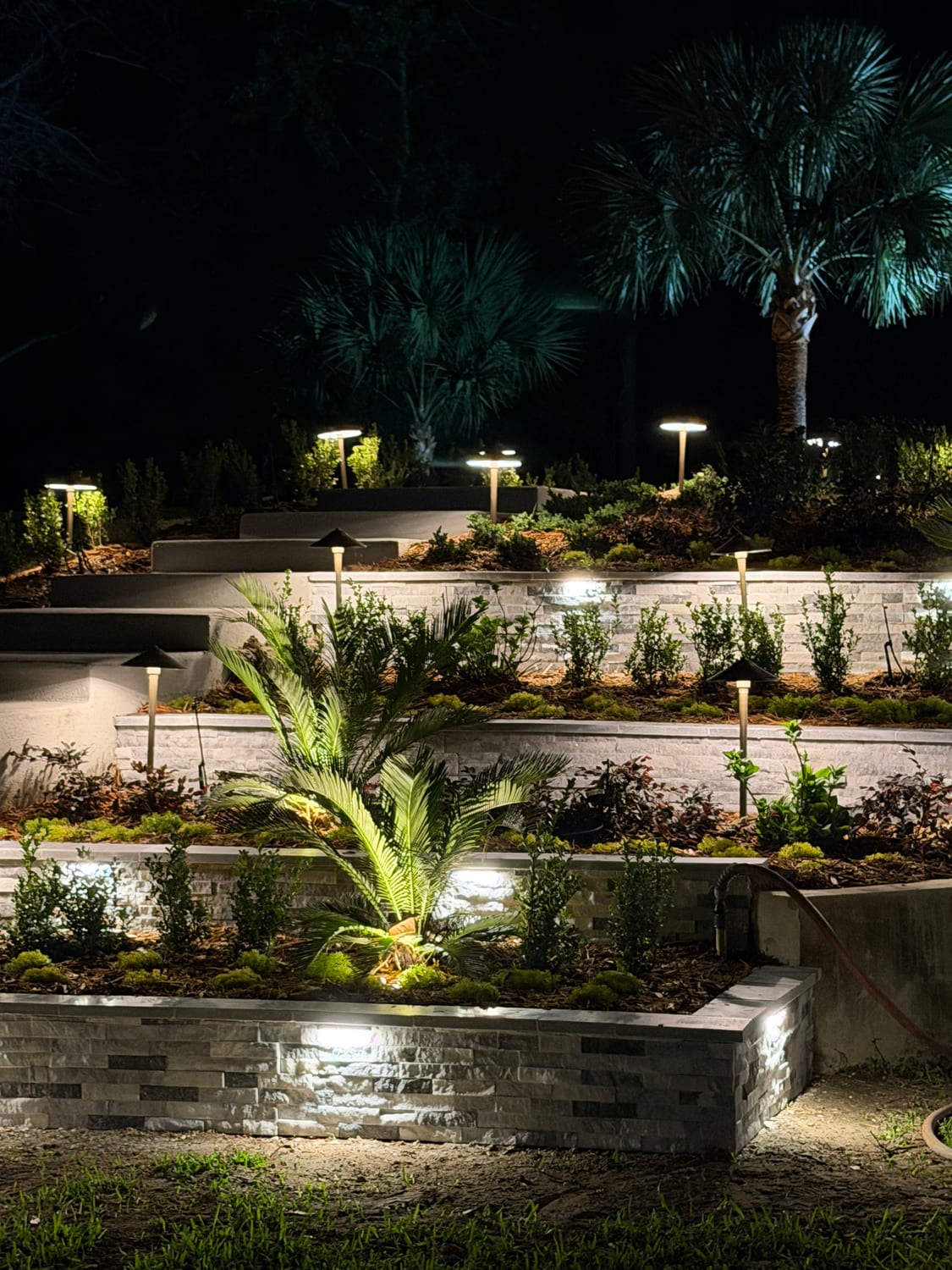 Multi-level garden beds lit with path lights and uplit palms at night in Broward, FL