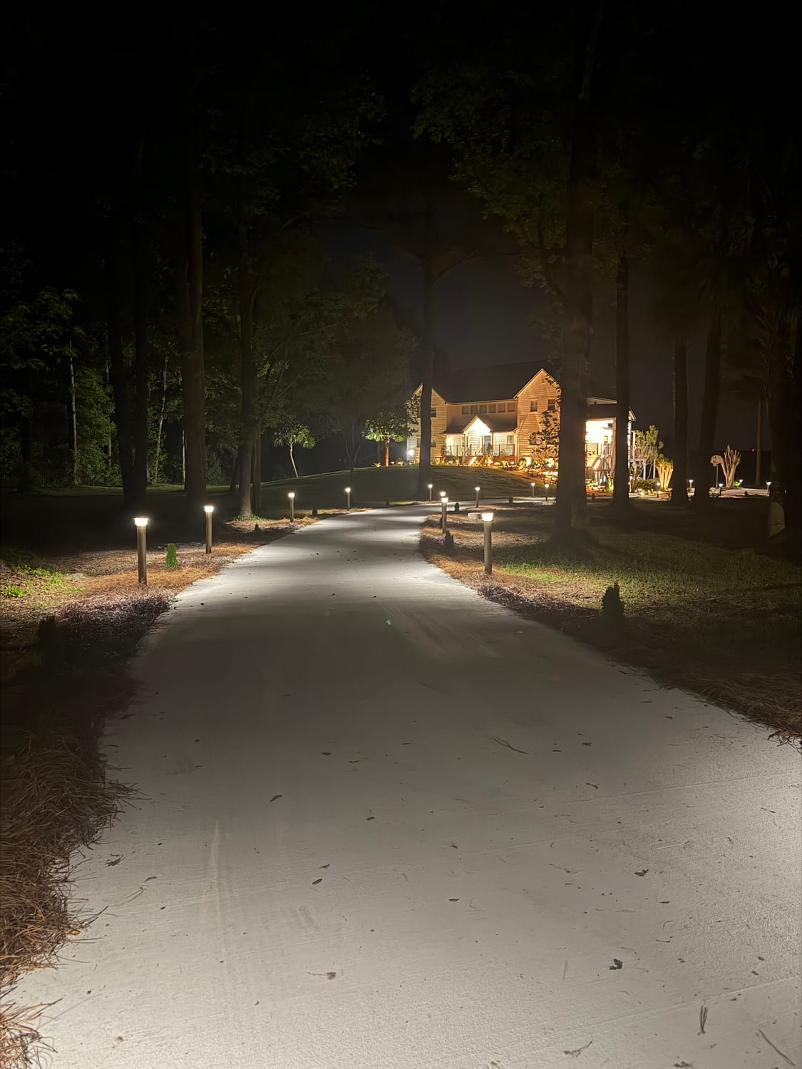 Driveway path lights guiding to a lit home entrance