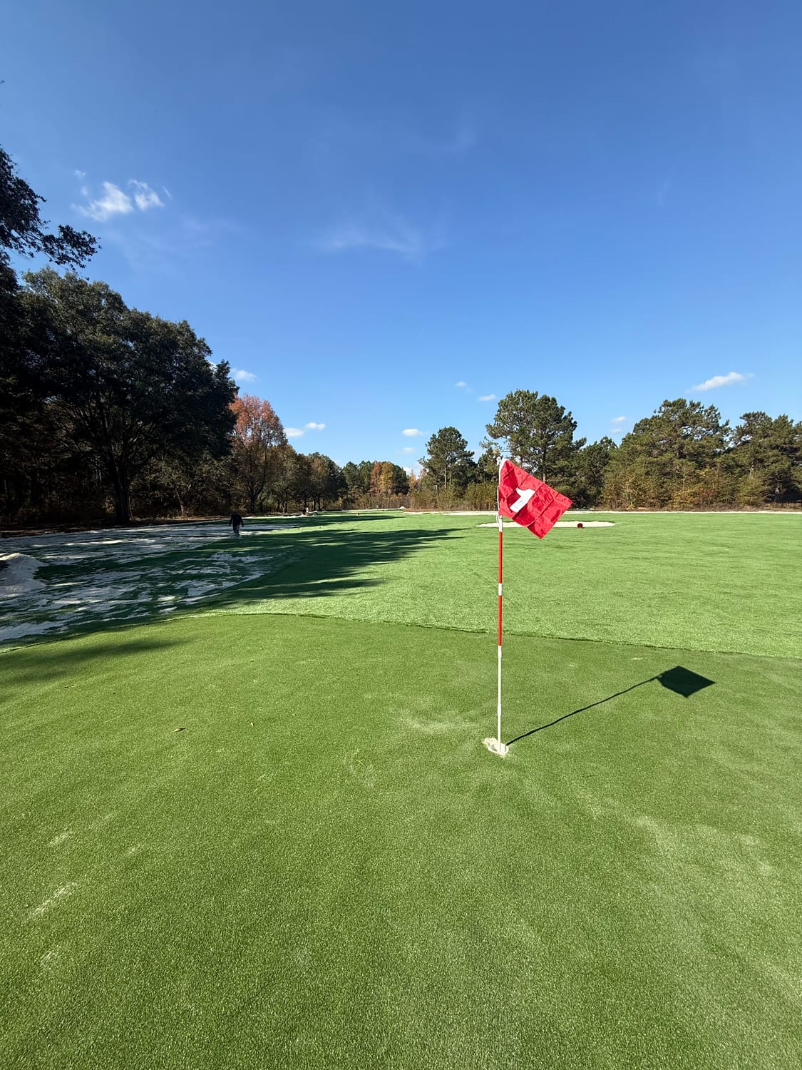 Custom artificial putting green with flag